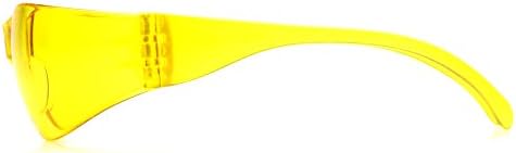 Pyramex Intruder Safety Eyewear Clear Frame Full Foam Padding Clear Anti-Fog Lens