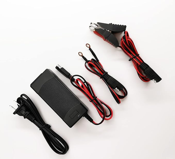 THEPRO 12V 3Amp Lithium LiFePO4 Battery Charger, 14.6V Smart Charger, 12.8V Lithium Iron Phosphate Battery Maintainer