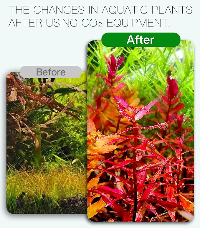 4L Aquarium CO2 Generator Complete kit with 600g +600g raw Materials,G802S