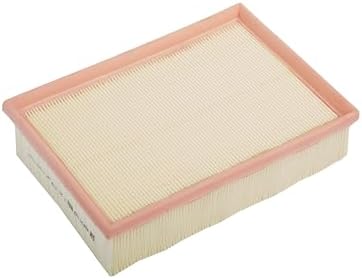 ACDelco GM Original Equipment A3184C (95021102) Air Filter