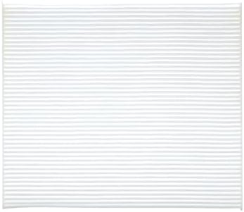 ECOGARD XC10020 Premium Cabin Air Filter | Fits 2013-2018 Nissan Altima 2.5L, 3.5L; 2015-2024 Murano 3.5L; 2014-2015 Pathfinder 2.5L