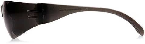 Pyramex Intruder Safety Eyewear Clear Frame Full Foam Padding Clear Anti-Fog Lens