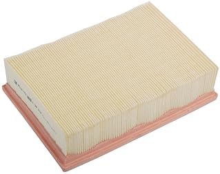 ACDelco GM Original Equipment A3184C (95021102) Air Filter