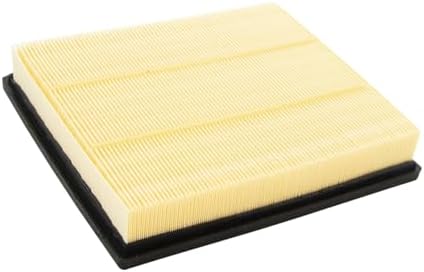ECOGARD XA10190 Premium Engine Air Filter | Fits 2012-2016 BMW 328i 2.0L; 2013-2016 328i xDrive 2.0L; 2012-2015 118i 1.6L; 2016 120i 1.6L; 2018 318i, 118i 1.5L