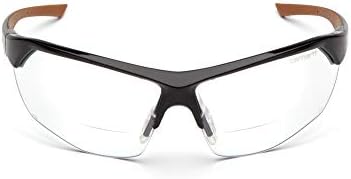 Carhartt-CHB1110DT Braswell Anti-Fog Safety Glasses Eye Protection, Black Frame, Clear Lens