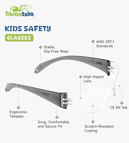 Tarantula 6 Pack Kids Safety Glasses, Youth Protective Eyewear & Goggles