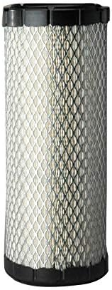Donaldson P821575 Air Filter, Primary (Pack of 2)