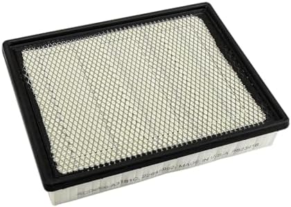 ACDelco GM Original Equipment A3181C (22845992) Air Filter