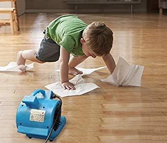 BlueDri Mini Storm 1/12 HP Mini Air Mover Carpet Dryer Floor Squirrel Cage Blower Fan for Home Floors and Carpets, Blue (SA-MI-BL)