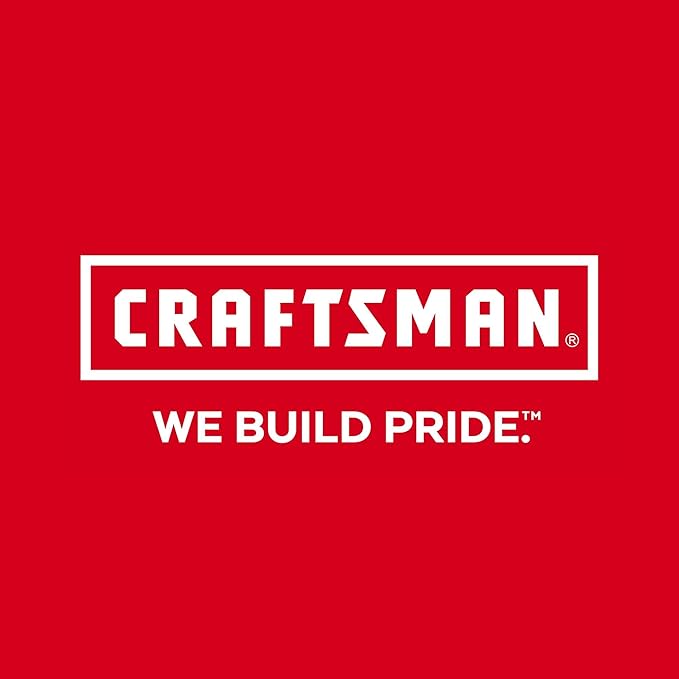 CRAFTSMAN Torque Wrench, 3/8" Drive (CMMT99433)
