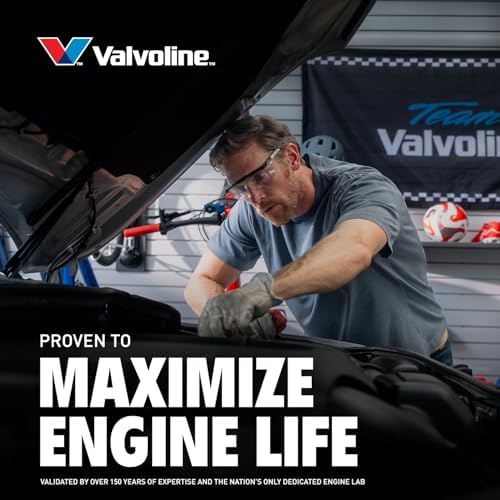 Valvoline Daily Protection SAE 10W-30 Conventional Motor Oil 1 QT