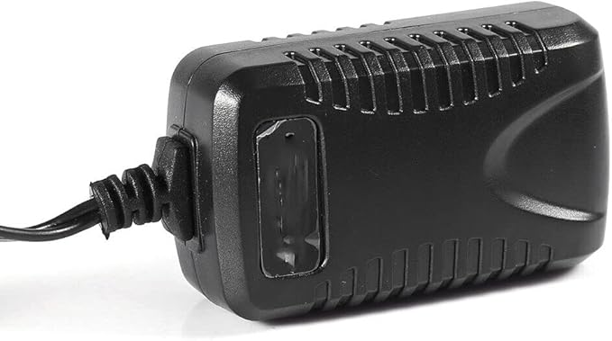 6V Volt 1000MA Sealed Lead Acid Rechargeable Battery Charger