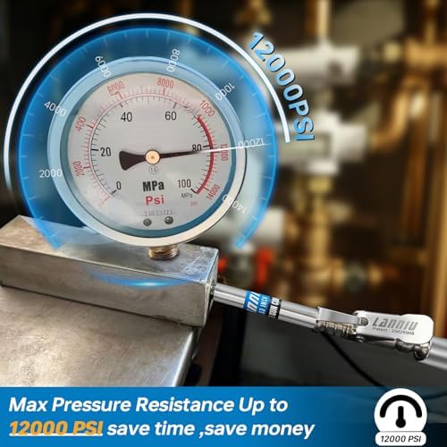 Grease Gun Coupler, 12000 PSI Strong Lock & Extra Reach Grease Tips