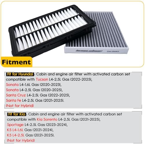 28113-L1000 97133-L1000 Cabin & Engine Air Filter with Activated Carbon Set