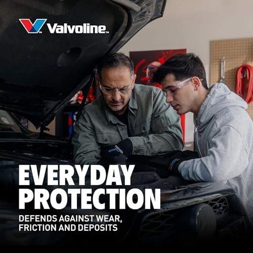 Valvoline Daily Protection SAE 10W-30 Conventional Motor Oil 1 QT, Case of 6