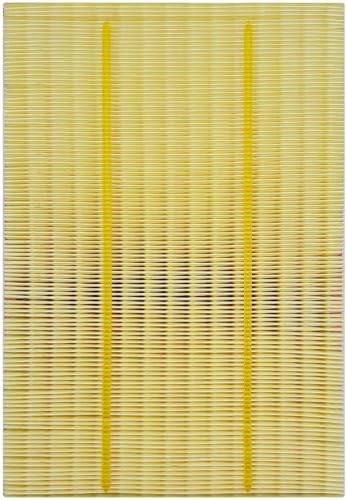 Capume for Engine Air Filter JM5303 Fits for Ram 1500, Ram 2500, Ram 3500, Ra-m 1500 Classic, Replacement for CA9401, 5303240AA, 530322404AA