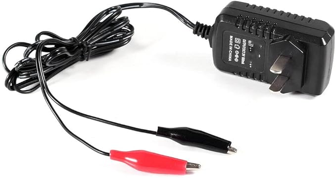 6V Volt 1000MA Sealed Lead Acid Rechargeable Battery Charger