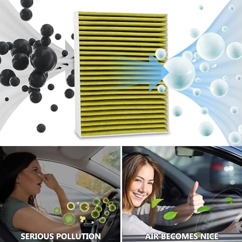Capume Cabin Air Filter 2PCS Fits for 2019-2024 530e, 530i, 540i, 740e xDrive, 740i, 750i, 760i, 840i, M550i xDrive, M8, M850i xDrive, X5, X6, X7, XM, Alpina B7, 64119366401, PC99244