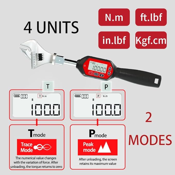 Digital Torque Wrench 5-35mm open end head interchangeable 2.2-73.7 ft-lbs (3-100 Nm) (26.5-885 inch pound) with Buzzer & LED, replaceable head Calibrated