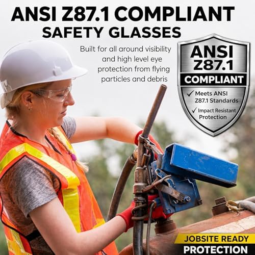BISON LIFE Assorted Safety Glasses for Men & Women ANSI Z87.1, 6 Pack