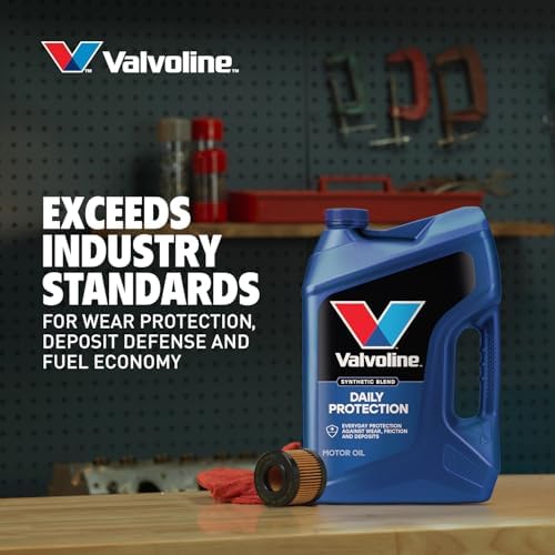 Valvoline Daily Protection SAE 20W-50 Conventional Motor Oil 1 QT, Case of 6