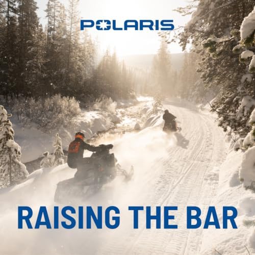 Polaris Snowmobile & Off-Road ATV, All-Season Grease, 14 oz - Part 2871423