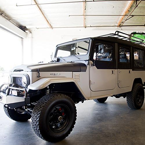 Dr. Beasley's Matte Paint Coating - Ceramic Protects Matte & Satin from Staines, Dirt, Contaminants, UV Year Round. Repels Water to Self Clean. Gives No Gloss Factory New Look, 4 oz