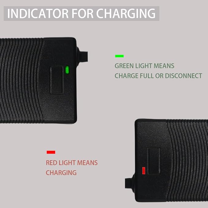 THEPRO 12V 3A LiFePO4 Battery Charger, Smart 14.6V Chargers for 12.8V Lithium Iron Phosphate Rechargeable Batteries