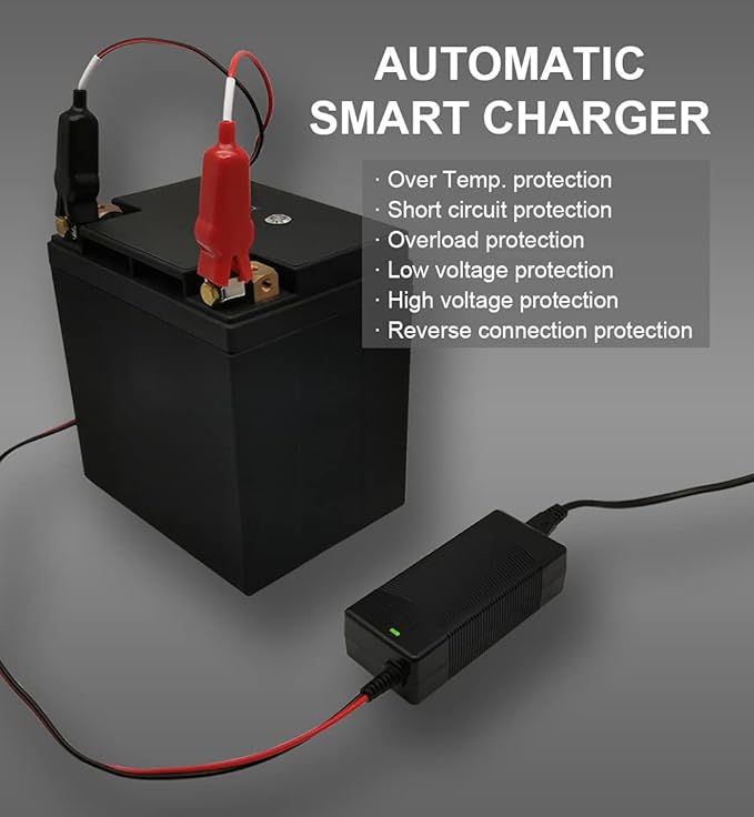 THEPRO 12V 3A LiFePO4 Battery Charger, Smart 14.6V Chargers for 12.8V Lithium Iron Phosphate Rechargeable Batteries