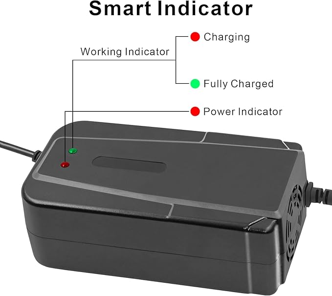 36V 3A Lead Acid Battery Charger for GT GT750 IZIP I600 (Not for Li ion Batteries)