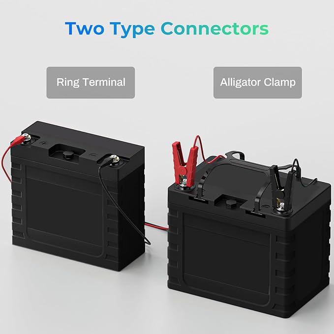12V 10A Lithium Battery Charger, RoyPow 12V 10A LiFePO4 Battery Charger, 12V Automatic Trickle Battery Chargers, 10A Battery Maintainer for LiFePO4 Batteries, Lithium Batteries, Car, Marine