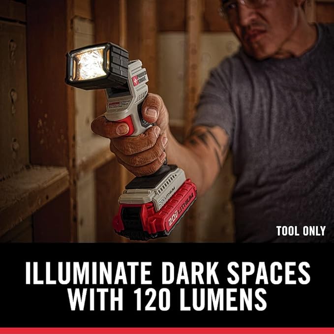 PORTER-CABLE 20V MAX* Oscillating Tool with 11-Piece Accessories, Tool Only (PCC710B) & 20V MAX* LED Work Light, Tool Only (PCC700B)