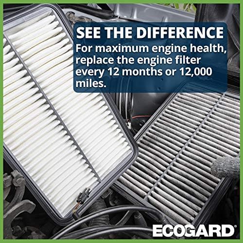 ECOGARD XA10423 Premium Engine Air Filter Fits 2018-2024 Renault Koleos, 2014-2020 Nissan Rogue, 2017-2022 Rogue Sport, 2014-2022 X-Trail, 2017-2023 Qashqai (Pack of 6)