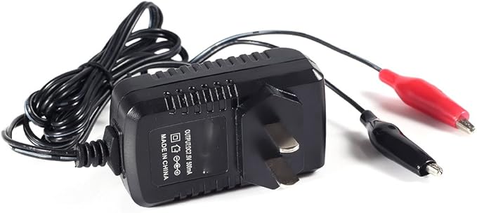 6V Volt 1000MA Sealed Lead Acid Rechargeable Battery Charger
