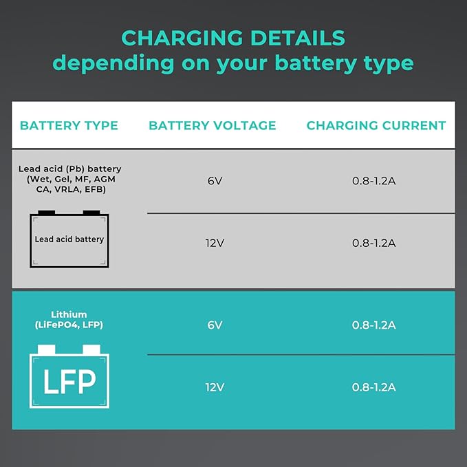 6V/12V 1A Lithium Battery Charger, RoyPow 1A Smart battery Chargers Automatic Trickle Battery chargers Battery Maintainer for Motorcycle, Car, ATVs, Lawn Mower, Lead Acid Batteries & Lithium Batteries