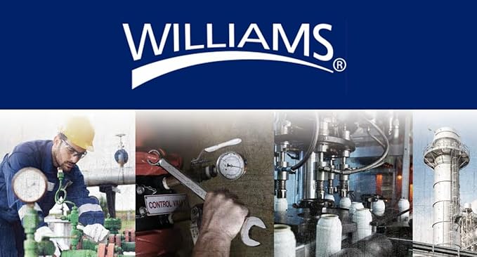 Williams JHWS-52EHA 1/2-Inch Drive Enclosed Head Ratchet with Chrome Finish, Single Pawl Ratchet Design, 36 Tooth Gear Engagement - 10-1/4 Inches