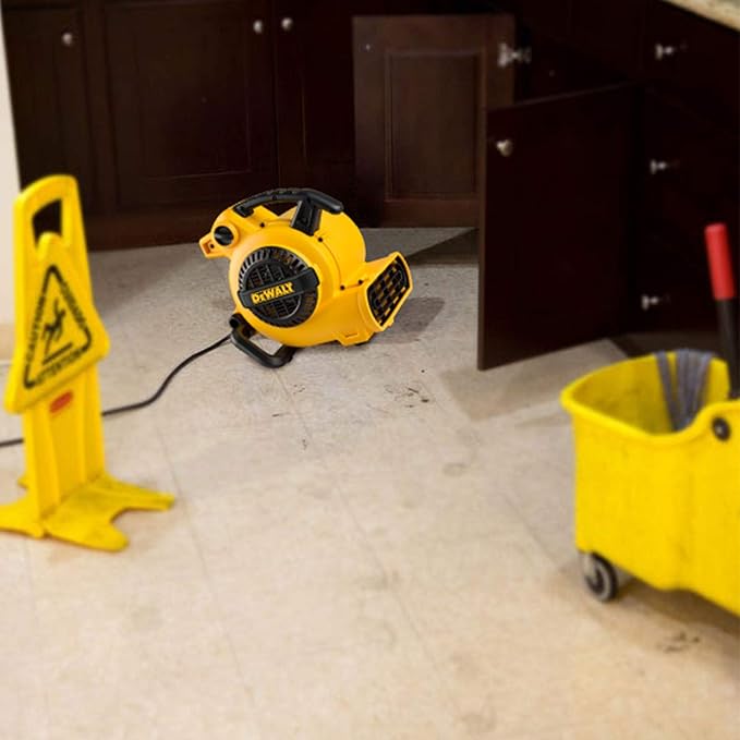 DEWALT Portable Air Mover, ‎276W 3 Speed Floor Fan, Utility Blower Fan, 1/5 HP 600 CFM Floor Dryer, Carpet Dryer, Floor Fan, Blower, for Janitorial, Home, Commercial Use, DXAM-2260