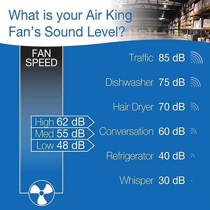 Air King 9020 1/6 HP Industrial Grade Wall Mount Fan, 20-Inch,Black