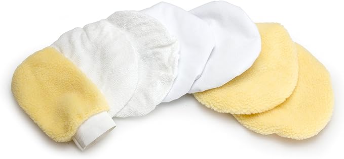 WEN 10PMC 10-Inch Waxer/Polisher in Case with Extra Bonnets