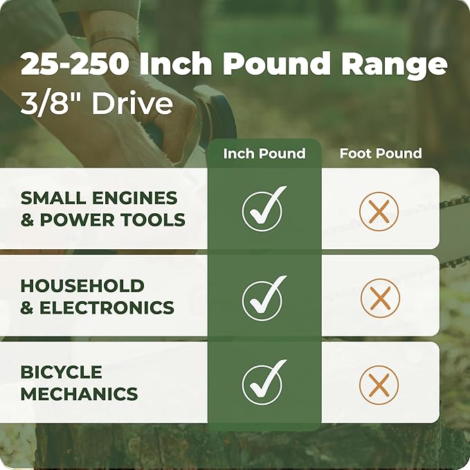 Digital Torque Wrench - 3/8" Drive (25-250 in-lb) Precision Torque Tool - Electronic Scale & Click-Style Design, Mechanic's Tool for Automotive, Motorcycle, & Bike Maintenance