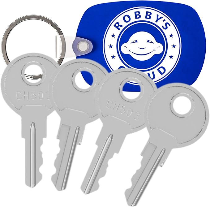 Robby's Cloud CH503 Replacement Key for Truck Boxes and Paddle Handle Boxes Marked CH-503-1 Keychain Included - Key style May Vary (4 Pack)
