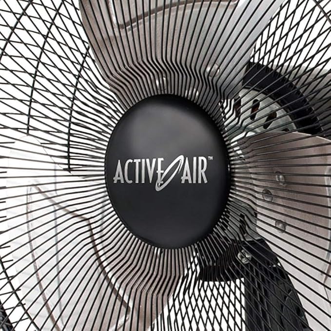 Active Air Heavy Duty Wall Mount Fan, 16", Black