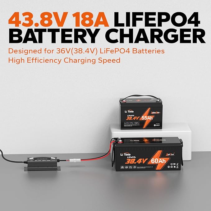 LiTime 43.8V 18A Lithium Battery Charger for 38.4V LiFePO4 Battery, AC-DC Smart Charger with 50A Anderson Connector, LED Indicator, Multiple Safety Protection for Golf Cart and RV