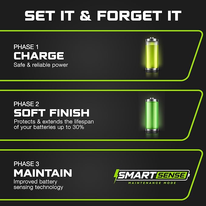 FORM 48 Volt Golf Cart Battery Charger for Yamaha G29 Drive & Drive 2-48V Lithium, LiFePO4, Lead Acid - Elite Version