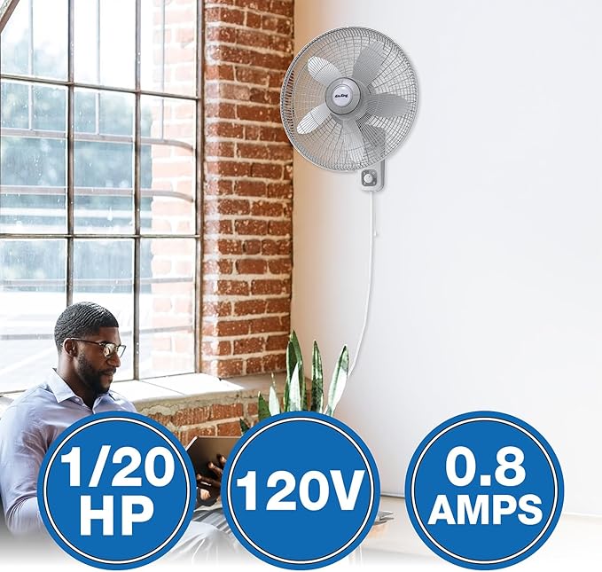 Air King 9018 Commercial Grade Oscillating Wall Mount Fan, 18-Inch , White