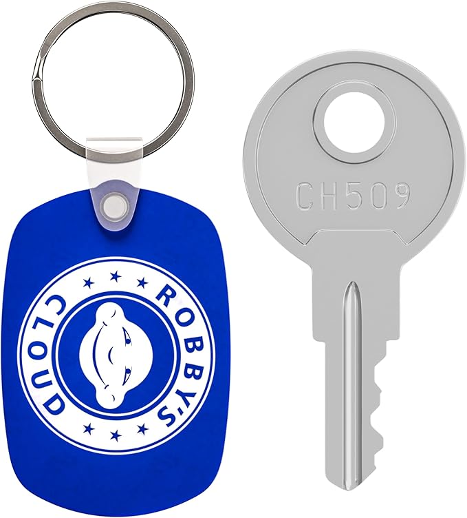 Robby's Cloud CH509 Replacement Key for Truck Boxes and Paddle Handle Boxes Marked CH-509-1 Keychain Included - Key Style May Vary (1 Pack)