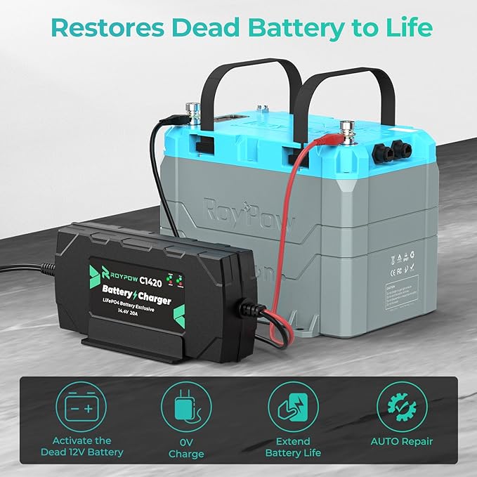 12V 20A Lithium Battery Charger, RoyPow 12V LiFePO4 Battery Charger 14.4V Smart Lithium Battery Chargers with M8 Ring Terminal, 12V battery Maintainer for Deep Cycle Rechargeable Battery of Boats, RVs