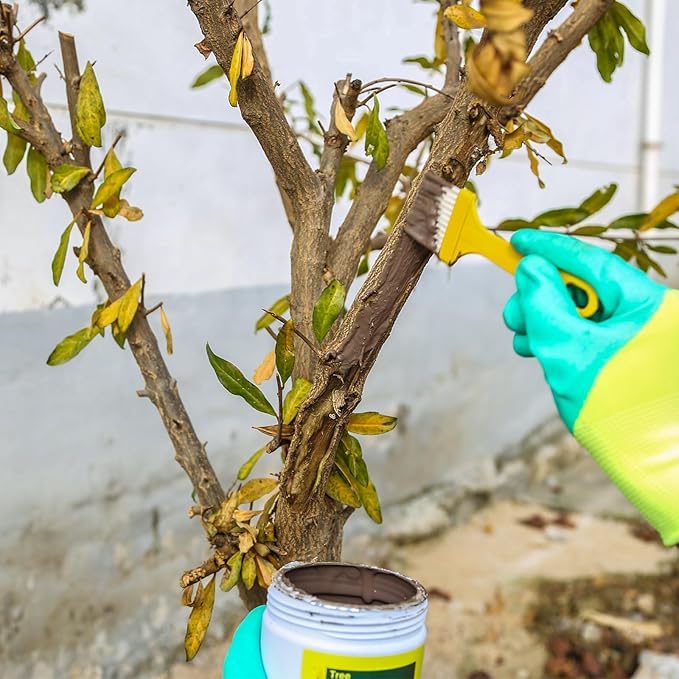 Tree Wound Sealer-500g Tree Wound Dressing for Damaged Trees Pruning Sealer. Bonsai Cutting Paste Tree Trunk Paint Protection Grafting Wax for Effective Tree Wound Repair-Brown