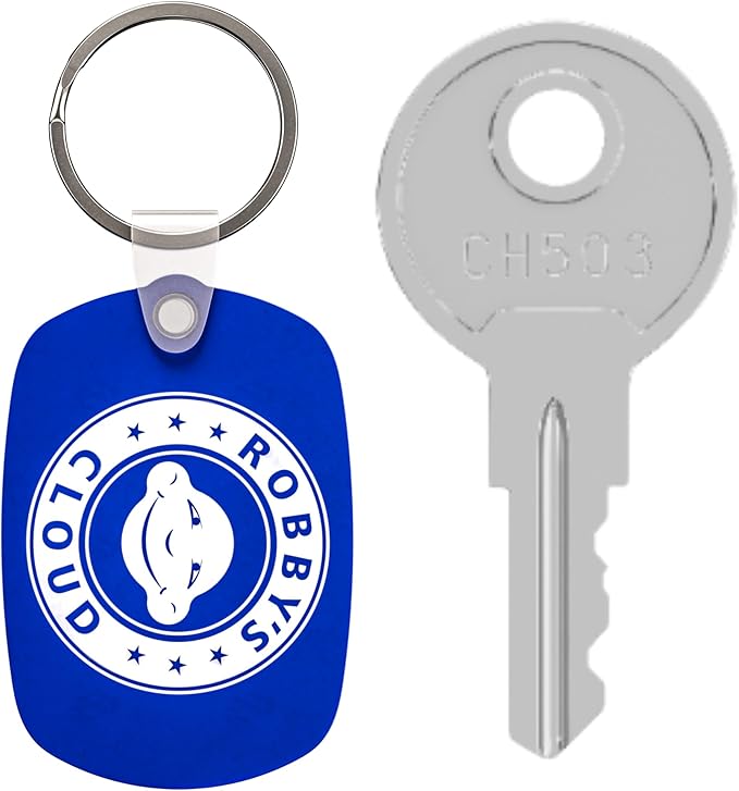 Robby's Cloud CH503 Replacement Key for Truck Boxes and Paddle Handle Boxes Marked CH-503-1 Keychain Included - Key Style May Vary (1 Pack)