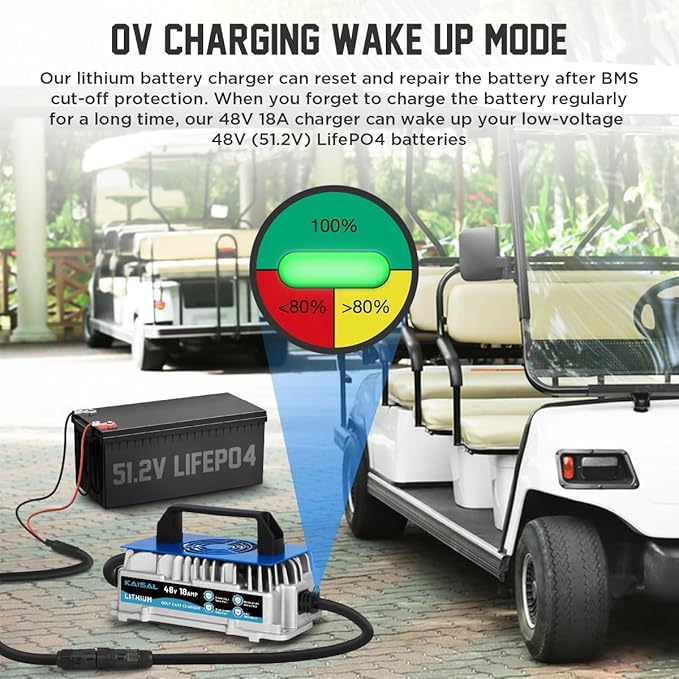Lithium Battery Charger 48 Volt/58.4V 18A for 48V (51.2V) LiFePO4 Battery 1250W Lifepo4 Battery Charger 48 Volt, IP67 Waterproof, for Golf Cart, Forklift, Electric Outboard, Boat, Solar, RV, Off-Grid